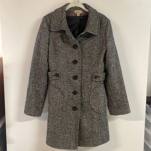 American Rag Peacoat